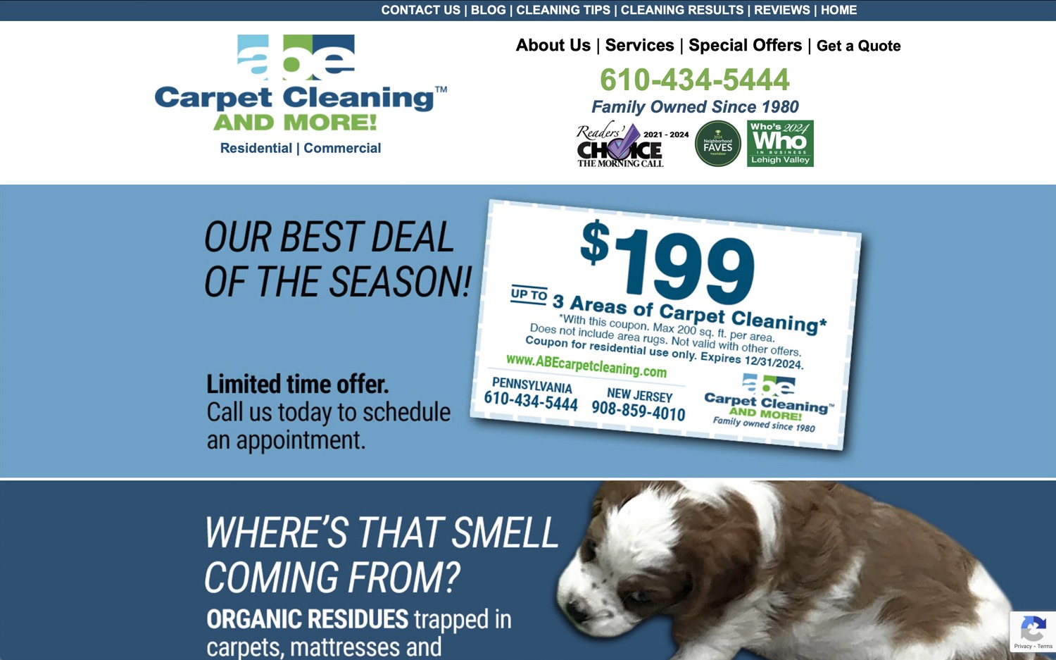 ABE Carpet Cleaning and MORE!